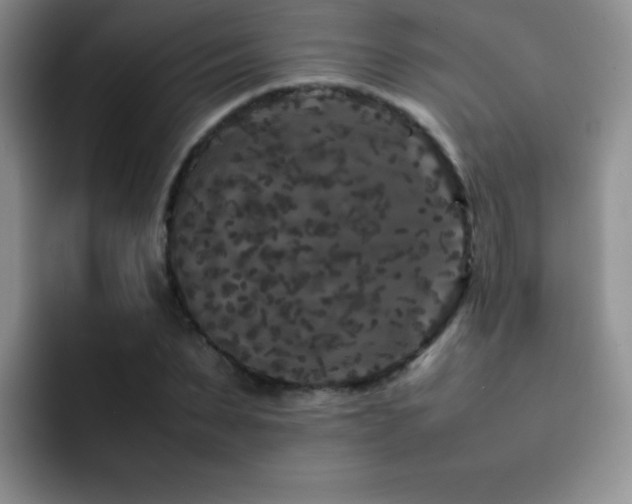 X0000092210879200709141024
