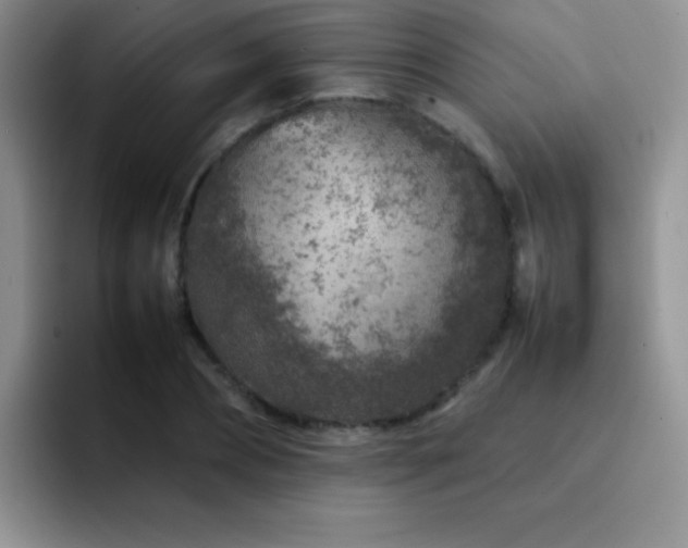 X0000092210882200709141024