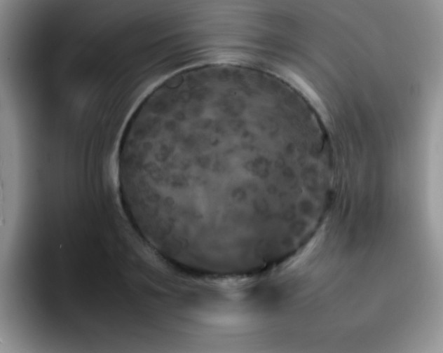 X0000092210891200709141024
