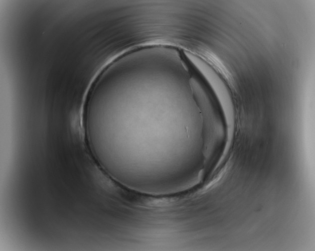 X0000092210892200709141024