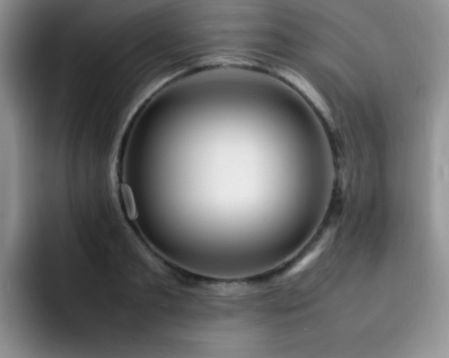 X0000092210893200709141024