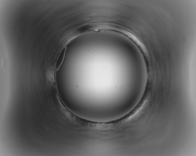 X0000092210905200709141024
