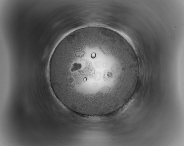 X0000092210911200709141024
