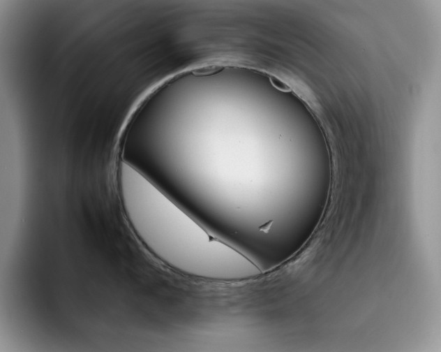 X0000092210912200709141024