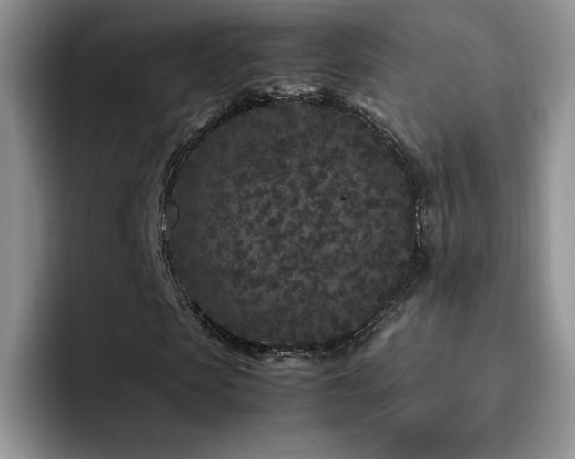 X0000092210913200709141023