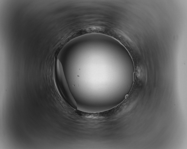 X0000092210915200709141023