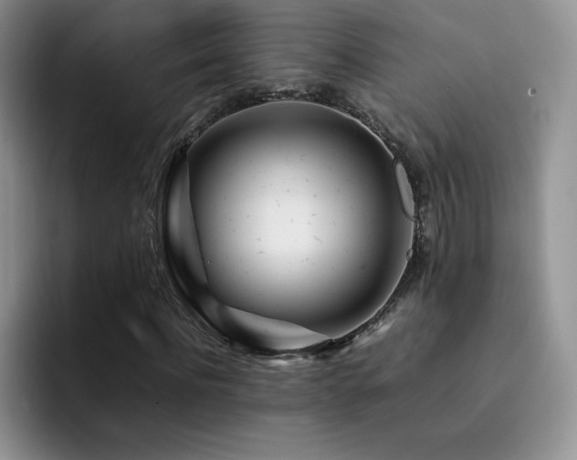X0000092210916200709141023
