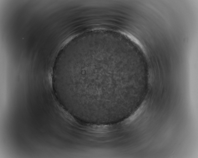 X0000092210921200709141023