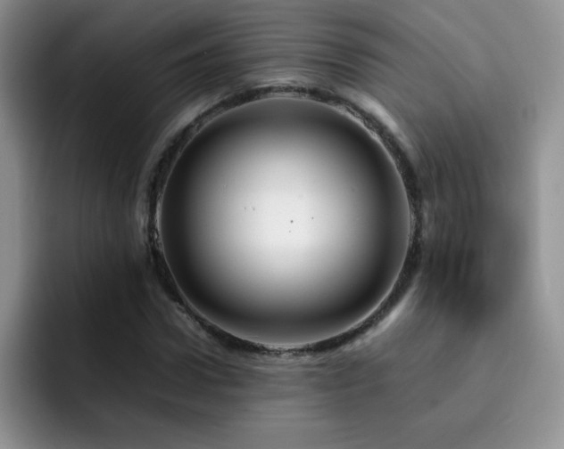 X0000092210922200709141023