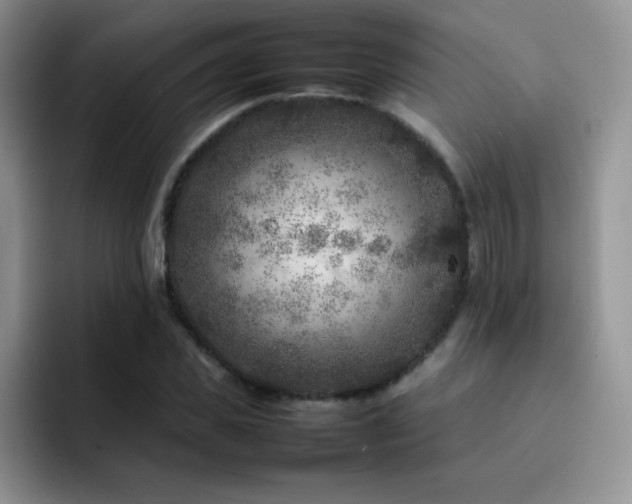 X0000092210925200709141023