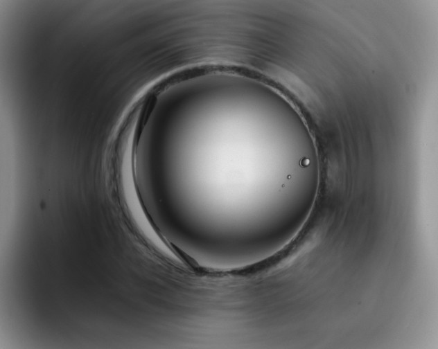 X0000092210926200709141023