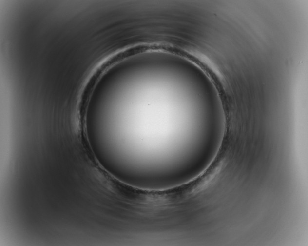X0000092210927200709141023