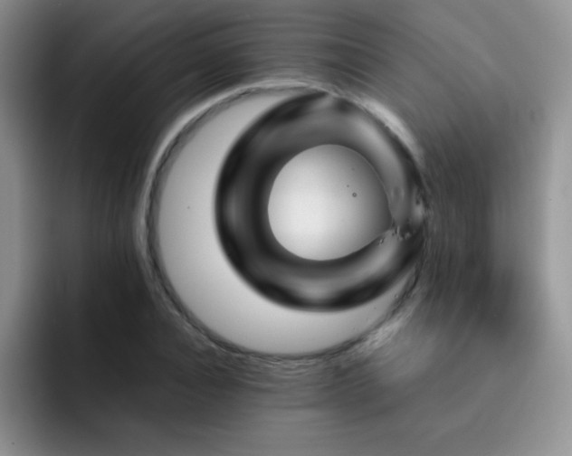 X0000092210928200709141023