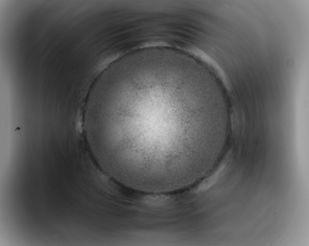 X0000092210929200709141023