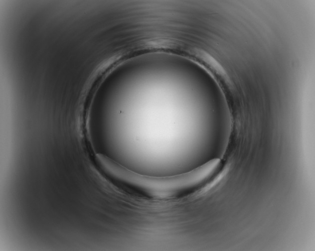 X0000092210930200709141023