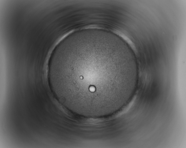 X0000092210933200709141023