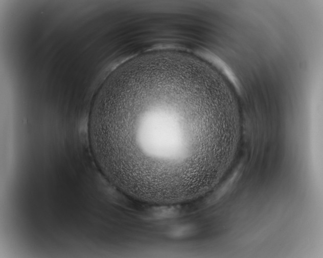 X0000092210937200709141023