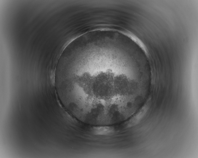 X0000092210953200709141024
