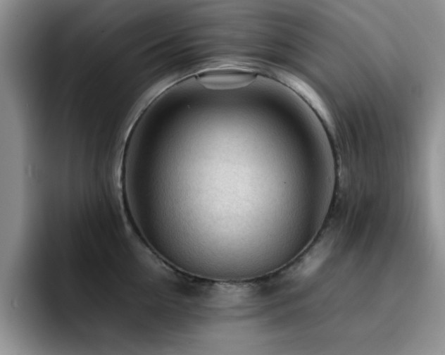 X0000092210954200709141024