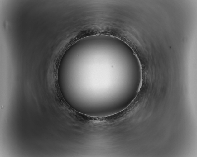 X0000092210961200709141023