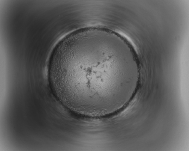 X0000092210975200709141023