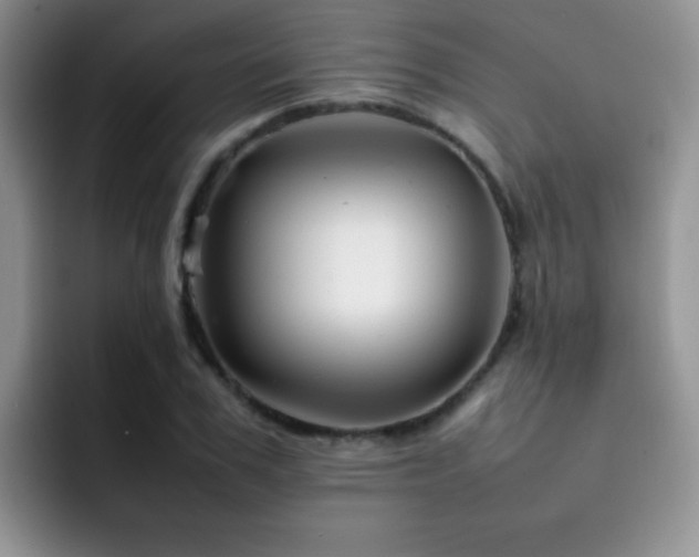 X0000092210979200709141023