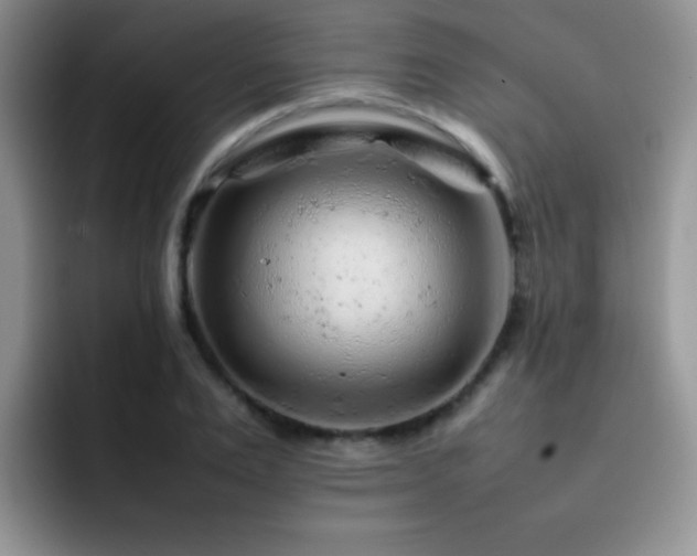 X0000092210983200709141023
