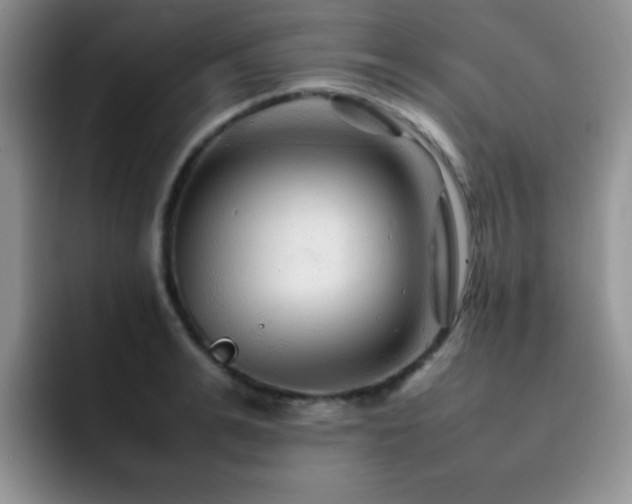 X0000092210991200709141023