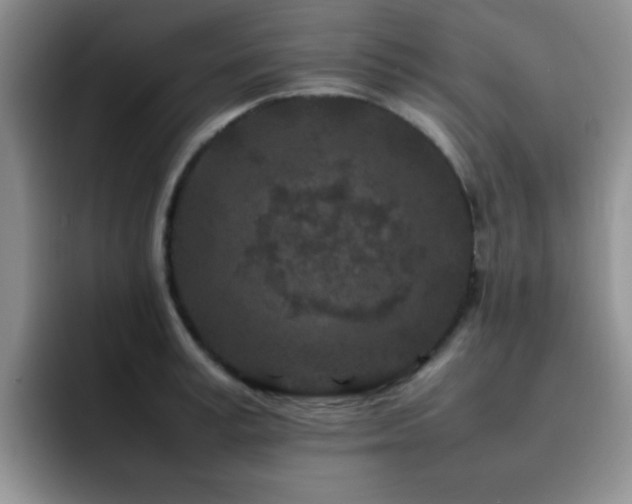 X0000092210995200709141023