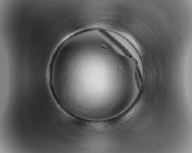 X0000092210999200709141023