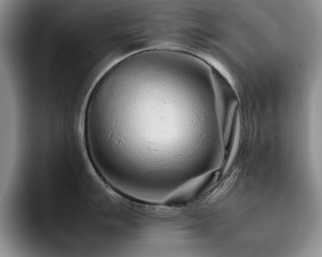 X0000092211007200709141023