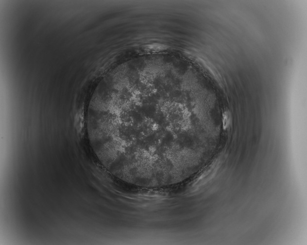 X0000092211011200709141022