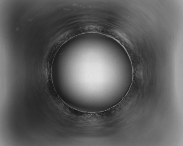 X0000092211015200709141022