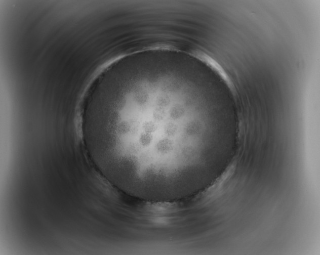 X0000092211019200709141022