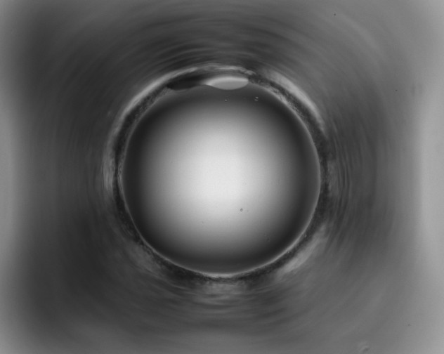 X0000092211021200709141022