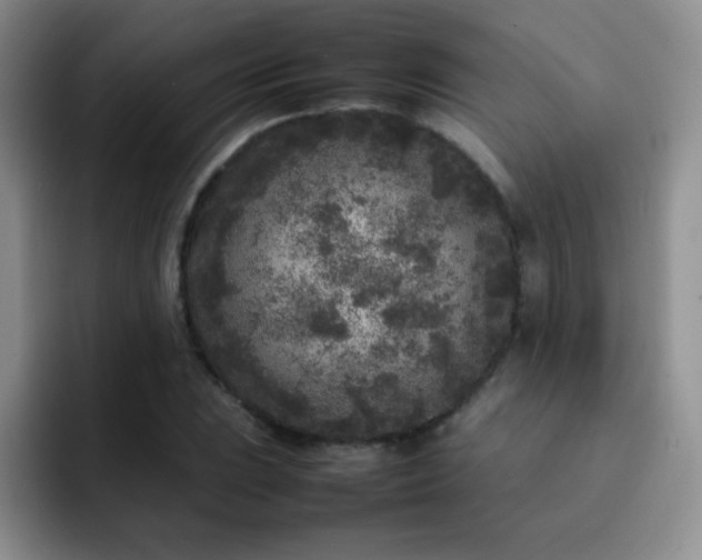 X0000092211023200709141022