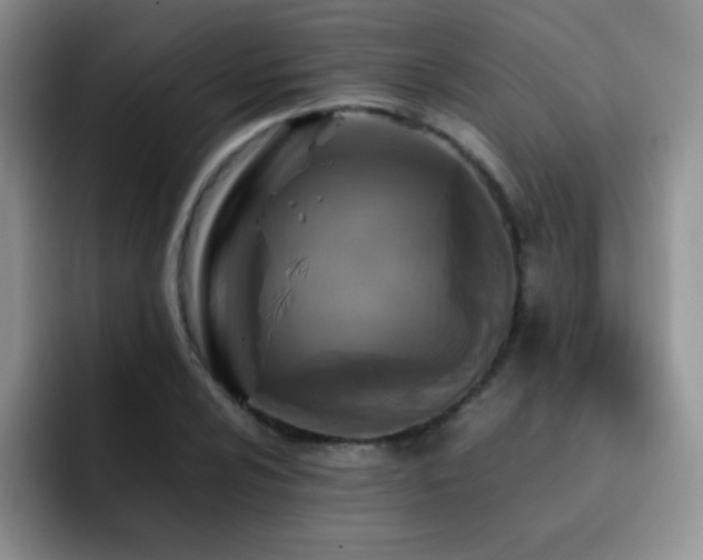 X0000092211024200709141022