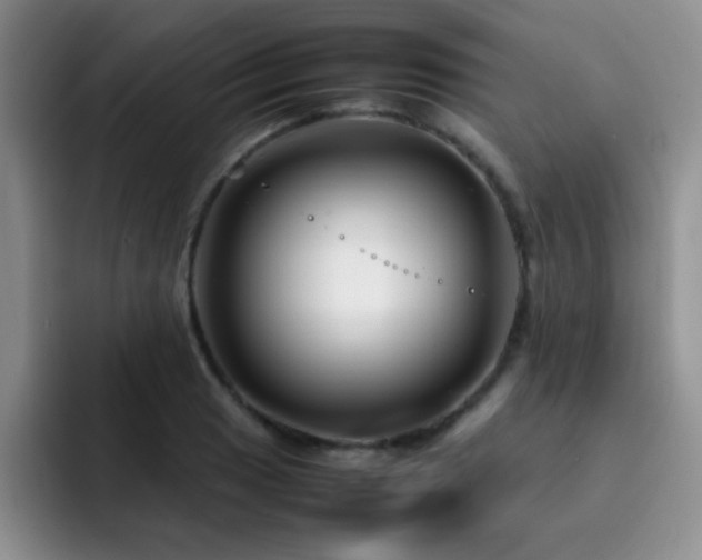 X0000092211033200709141022