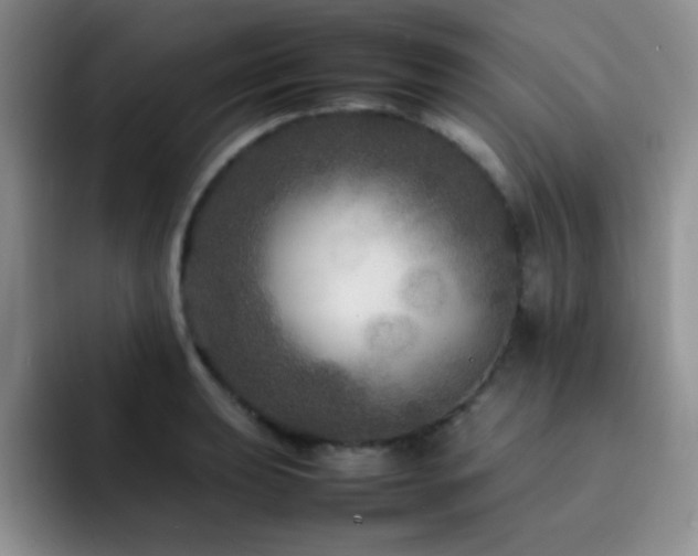 X0000092211039200709141022