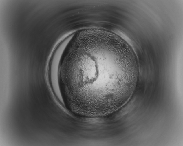 X0000092211045200709141022