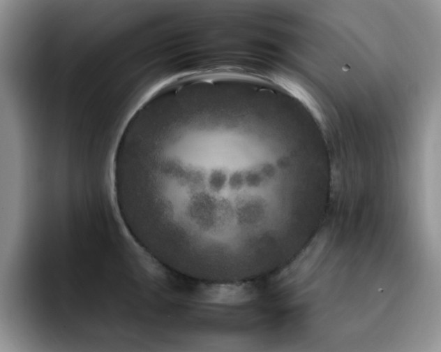 X0000092211047200709141022