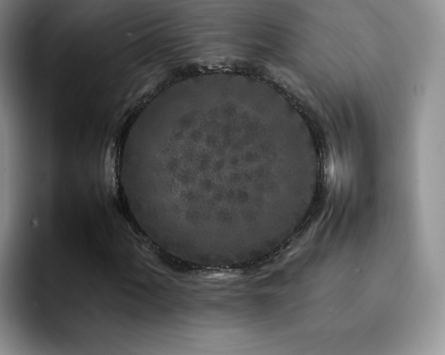 X0000092211060200709141022