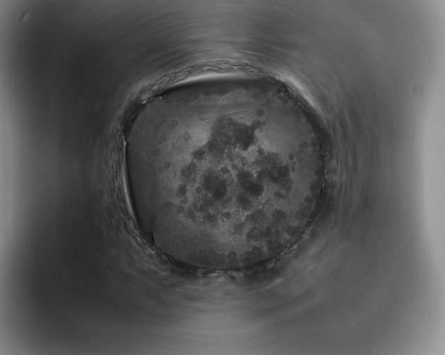 X0000092211063200709141022