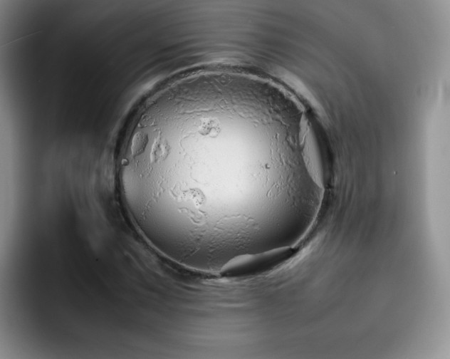 X0000092211067200709141022