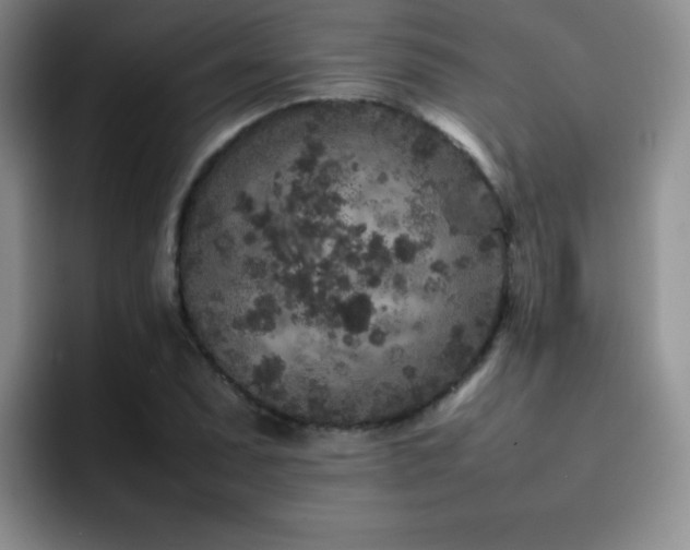 X0000092211071200709141022