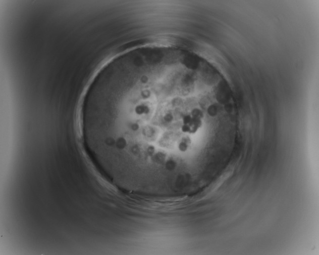 X0000092211083200709141022