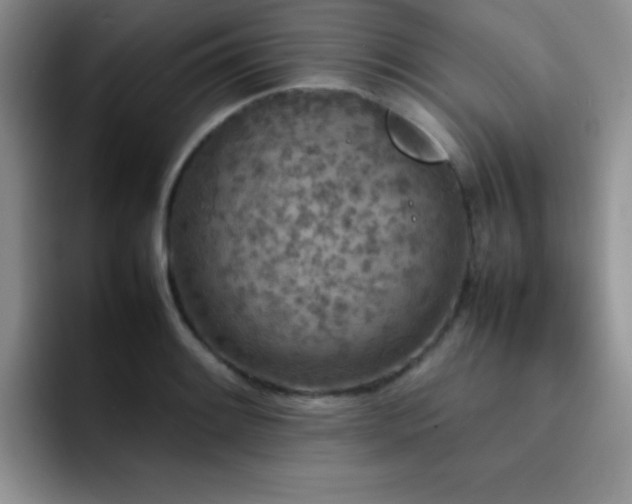 X0000092211084200709141022
