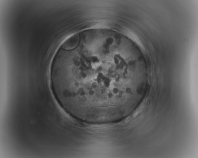 X0000092211087200709141022