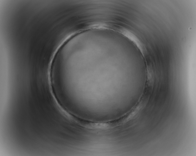 X0000092211090200709141022