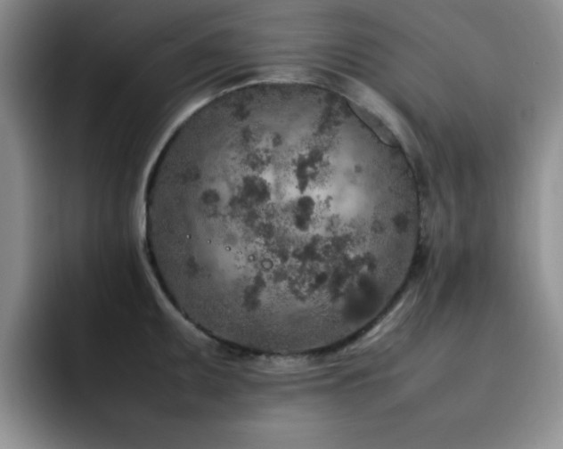 X0000092211095200709141022